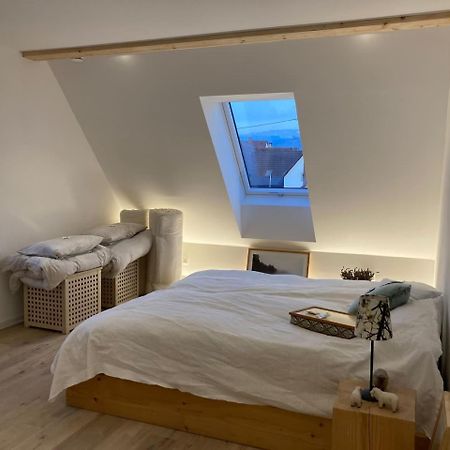 Апартаменти Neues Penthouse-Loft Mit Konuskarte Fuer Gratis Oepnv Ehrenkirchen Екстер'єр фото
