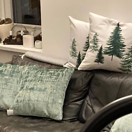 Апартаменти Neues Penthouse-Loft Mit Konuskarte Fuer Gratis Oepnv Ehrenkirchen Екстер'єр фото