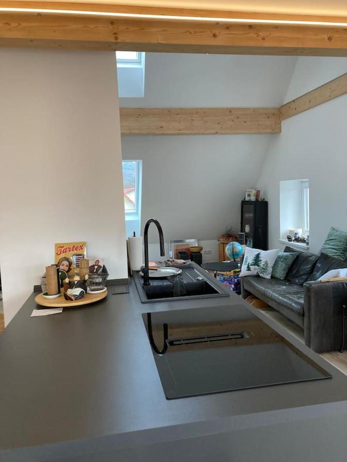 Апартаменти Neues Penthouse-Loft Mit Konuskarte Fuer Gratis Oepnv Ehrenkirchen Екстер'єр фото