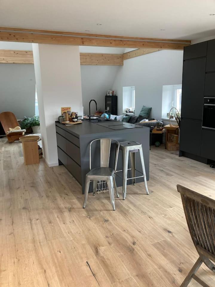 Апартаменти Neues Penthouse-Loft Mit Konuskarte Fuer Gratis Oepnv Ehrenkirchen Екстер'єр фото