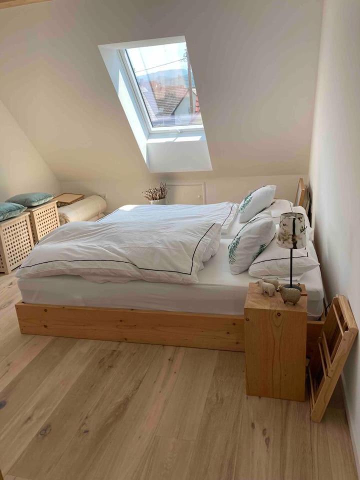 Апартаменти Neues Penthouse-Loft Mit Konuskarte Fuer Gratis Oepnv Ehrenkirchen Екстер'єр фото